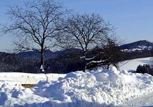 Der Bayerwald im Winter. Pension Markl
